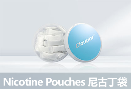 NICOTINE POUCH